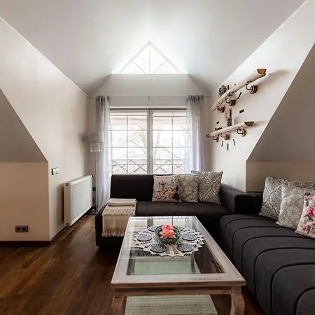 Lovely Spacious In The City Center