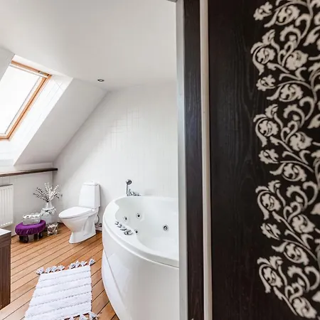 Lovely Spacious In The City Center Apartmán